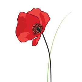 Piccadilly Greetings Mini Blank Card Blank - 80 x 110 mm