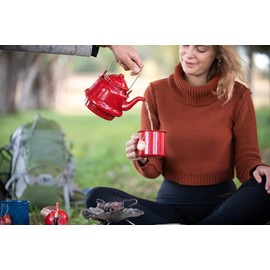 ORGANIC INDIA Tulsi Peppermint Tea - Caffeine Free Herbal Mint Tea - Stress Relieving Holy Basil, Immune Support, Aids Digestion, Vegan, USDA Certified Organic, Fairtrade - 18 Infusion Bags, 6 Pack