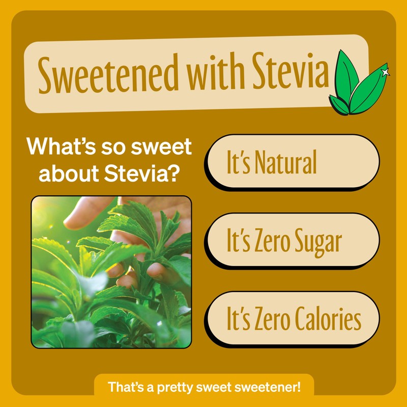 Zevia Zero Sugar Soda, Cream Soda, 16 oz Cans (12-Pack)