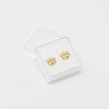 Aretes de Ojos Ojitos en Chapa de Oro de 22K