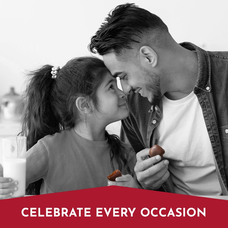 Fannie May, Milk and Dark Chocolate Holiday Gifts, Assorted Chocolates,