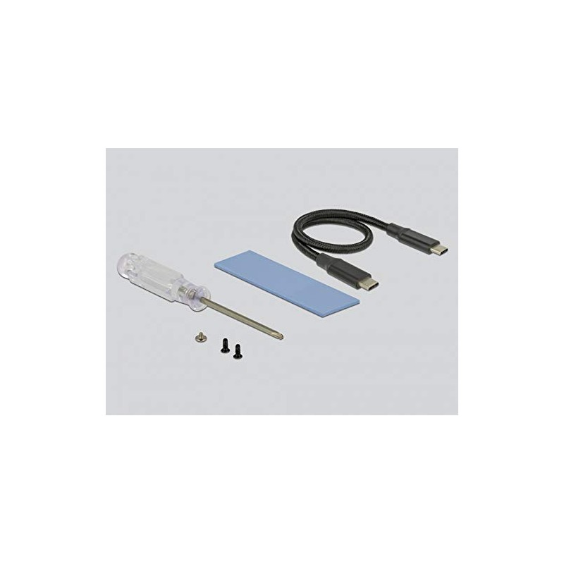 Delock External Case M.2 NVMe PCIe SSD USB 10 Gbps