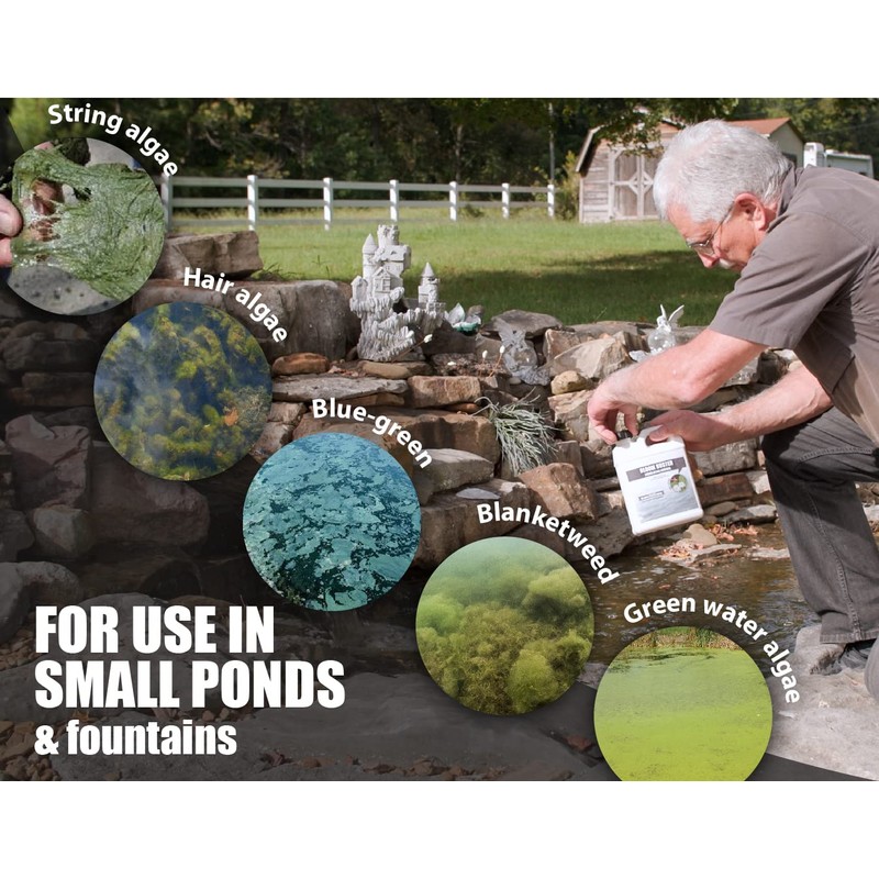 Bloom Buster Algae Control for Fish Ponds & Water Gardens