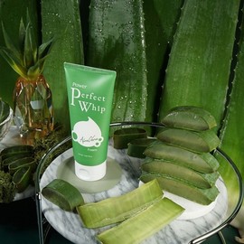 Aloe Cleansing Foam 120ml / 알로에 클렌징폼 120ml