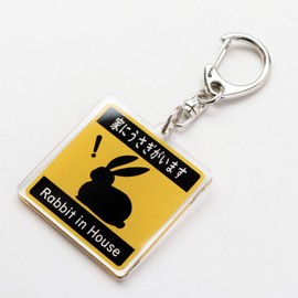 [SunAge] Rabbit in House Pictogram Funny Keychain Key Ring Acrylic Rabbit in House, yellow