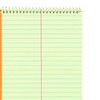 National Steno Notebook, Gregg-Ruled, Green Eye-Ease Paper, Brown Cover, 6"