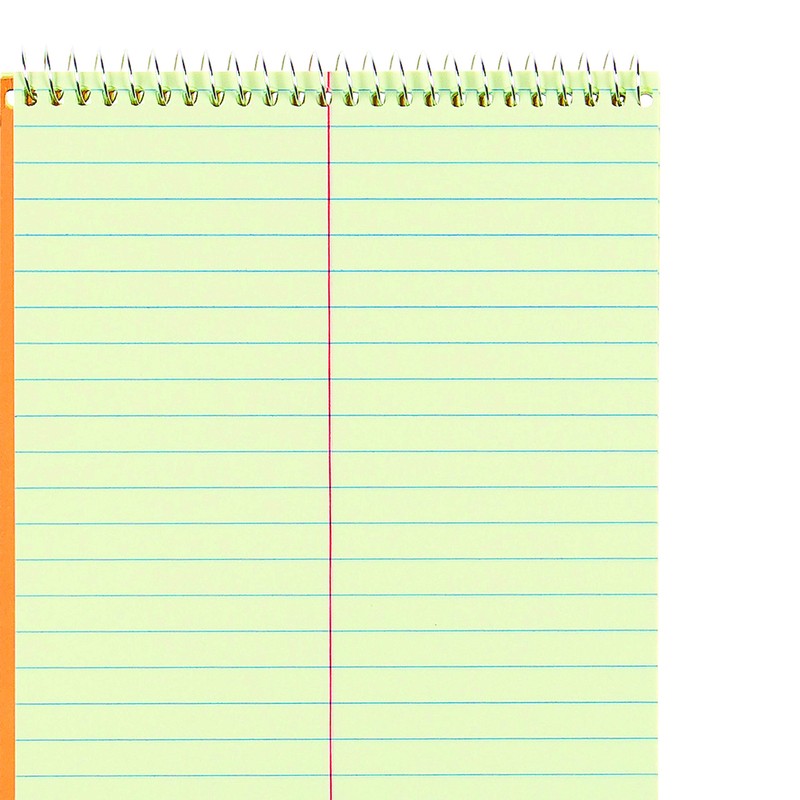 National Steno Notebook, Gregg-Ruled, Green Eye-Ease Paper, Brown Cover, 6"
