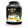 Creatina Monohidratada Guns 1k 200 Varios Sabores Naranja