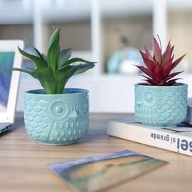Nattol Owl Succulent Planter, Turquoise Animal Planter Pots with Drainage, Set of 2
