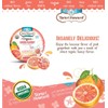 Torie and Howard Organic Hard Candy Tin, Pink Grapefruit and