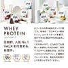 VALX BALX WPC Whey Protein Cafe au Lait Flavor, 14.8