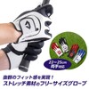 Daiya Golf GL-5001 GL-5001 Diamond Free Size Gloves, Men's/Women, Stretch