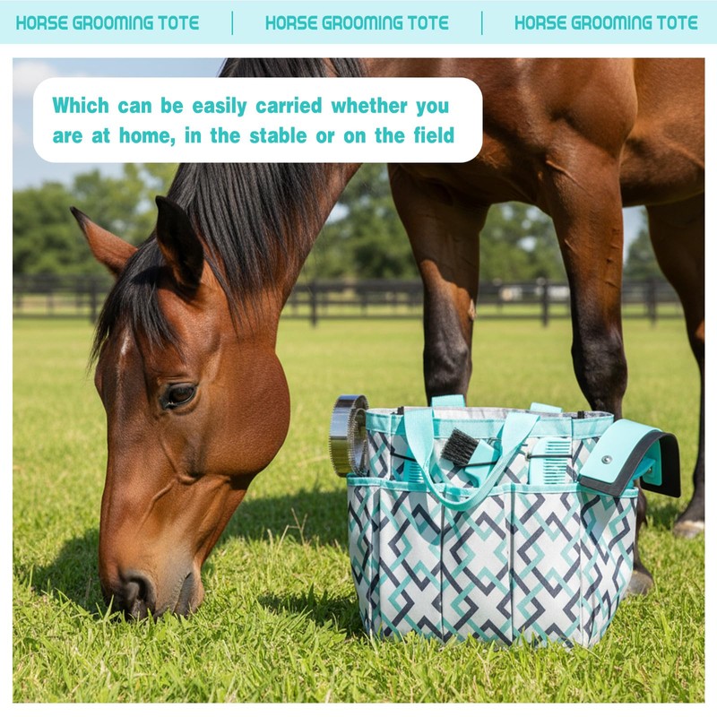 Abbylike 12 Piece Horse Grooming Kit with Organizer Tote Bag
