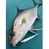 NatureBoys RockRider 120g Glow Pink