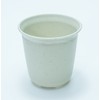 ALL in ONE Mini Plastic Plant Flower Pots for Plants