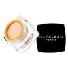 Napoleon Perdis The One Concealer 3.5 ml, Fair