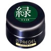 Pregel Gel Nail Color EX, Milky Carrot 300 green