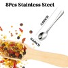 8 PCS Tiny Stainless Steel Spoons for Spices Jars, Mini