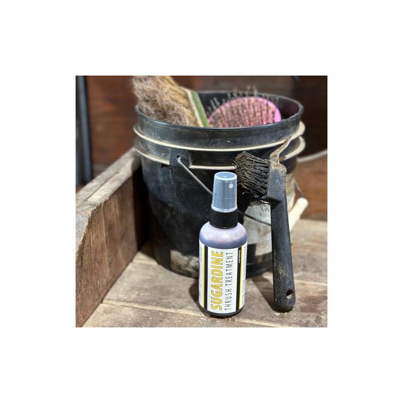 B Gone Sugardine Thrush Treatment - for Equestrians, Horses with