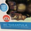 Discovery RC Spider Tarantula Discovery Kids Toys Radio Remote Control