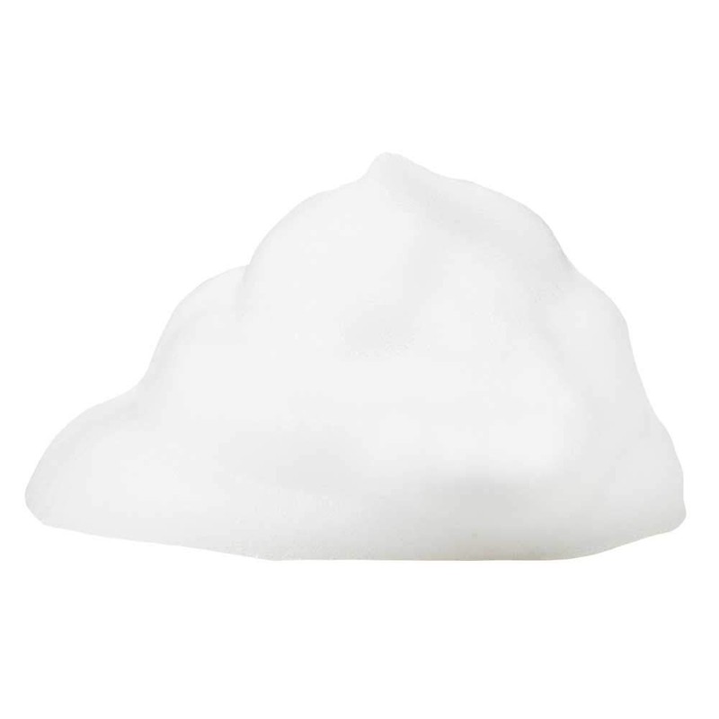 Logically skin Care Cleansing Foam 200ml