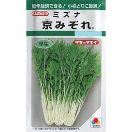 takii種苗 mizuna Fighters Sleet atu043