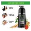 Shampoo Tinte Negro Menos Min Sal Shampo 400