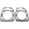 Engine Complete Gasket Seal Kit Compatible with BRP Can-am 800