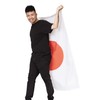 Party City Cheering Goods, Variety Goods, Hinomaru Flag, Large, 35.8