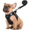 FAYOGOO Service Dog Vest for Small Breed - Lightweight Dog
