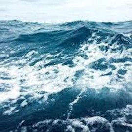 Froggy's Fog - Scented Cologne Spray (1 oz. Ocean)