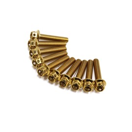 PARSLUCK 10pcs Gold Tone M6 x 30mm Motorcycle Titanium Alloy Hexagon Bolts Clips Screws Stable