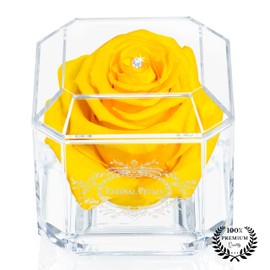 A 100% Real Rose That Lasts Years - Eternal Petals, Handmade in UK – White Gold Solo with A Multicolor Crystal (Yellow)