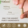Kudzu Capsules 1400mg (Pueraria Lobata Root) | 40% Isoflavones Content
