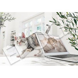 Epoch Corporation 300 Piece Jigsaw Puzzle, Ikimono/Pets, Telework Is Over (10.2 x 15.0 inches (26 x 38 cm), 26-370s, with Glue Spatula, Comes with Tickets EPOCH