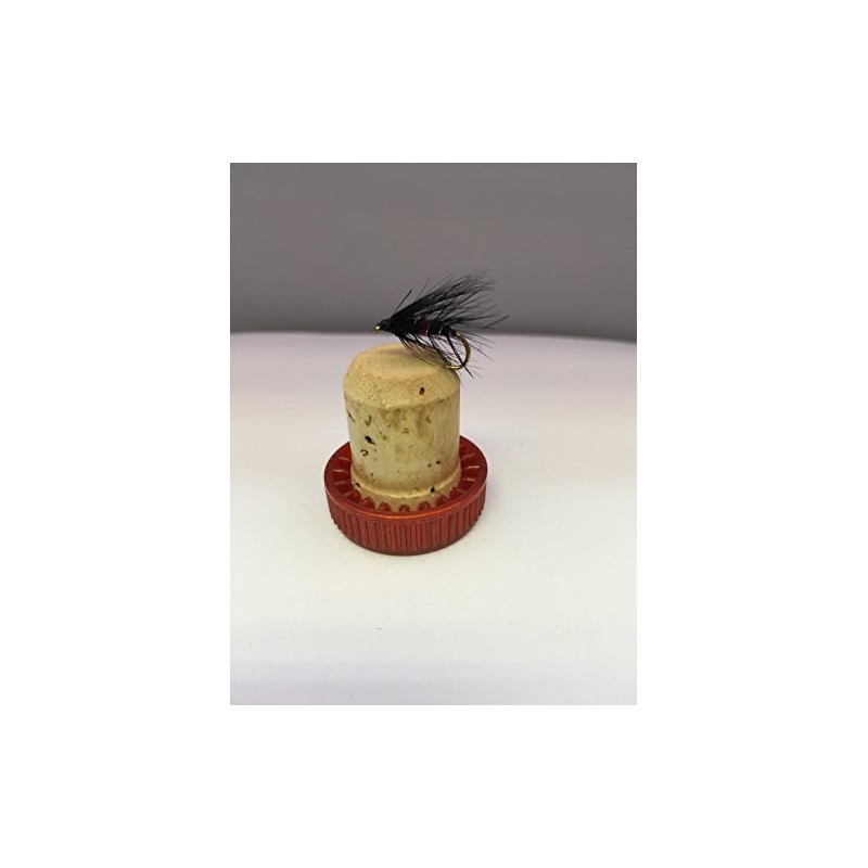 BestCity Fly Fishing Bibio Selection 16 Wet Flies with FREE