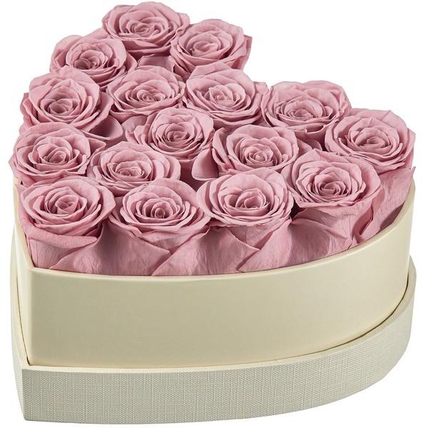 Beaulasting Roses 16-Piece Preserved Roses Heart Shape Box Real Roses That Last a Year Preserved Flowers for Delivery Prime Mothers Day Valentines Day Christmas Day (Dusty Pink Roses) 