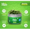 Whole Food Microgreens - US Grown, Small Batch, Nutritional Booster