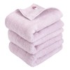Hiorie Certified Imabari Face Towel, Fluffy Ribbed Towel, Set of