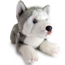 Husky ACE Sleigh Dog Cuddly Toy Plush Dog Lying Down Blue Eyes