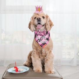 ADOGGYGO Dog Birthday Party Supplies, Multi Size Offered, Birthday Girl Dog Bandana, Dog Birthday Hat Crown with Numbers for Small Dogs Pets (Small, Pink)
