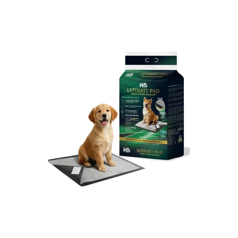 Tapete Entrenador Perro Carbon Activado Tapete Perro 14 Pz