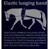 Harry's Horse lunging band elastic, black for training the back