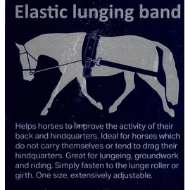 Harry's Horse lunging band elastic, black for training the back of the hand when riding or lunging.