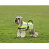 Petlife Flectalon Hi-Vis Dog Jacket Complete with Thermal Lining, 20-inch,