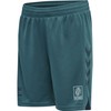 hummel hmlGG12 Action Shorts Kids7161 Petrol, Deep Lagoon, 128