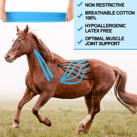 Burbell 2 Pcs Veterinary Kinesiology Tape for Horses or Dogs Veterinary Tape 4 Inch Equine and Canine Tape Uncut Roll Adhesive Tape for Vet Adhesive Animal Pets Wrap Bandages