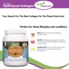 Perfect Supplements Perfect Supplements C Perfect Hydrolyzed Collagen Powder C