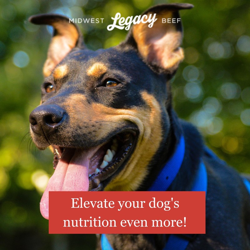 Midwest Legacy Beef Freeze Dried Raw 100% Beef Dog Food