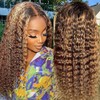 5x5 HD Lace Closure Wigs Human Hair 180% Highlight Ombre